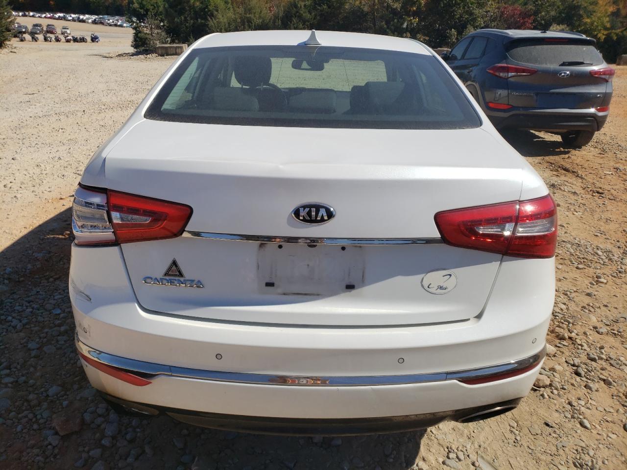 2014 Kia Cadenza Premium VIN: KNALN4D76E5131941 Lot: 77544574