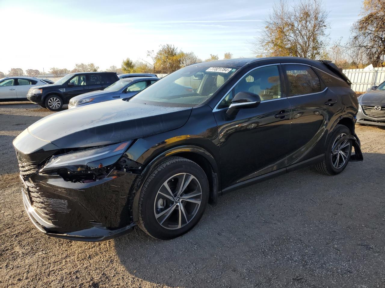 2024 Lexus RX - Image 1