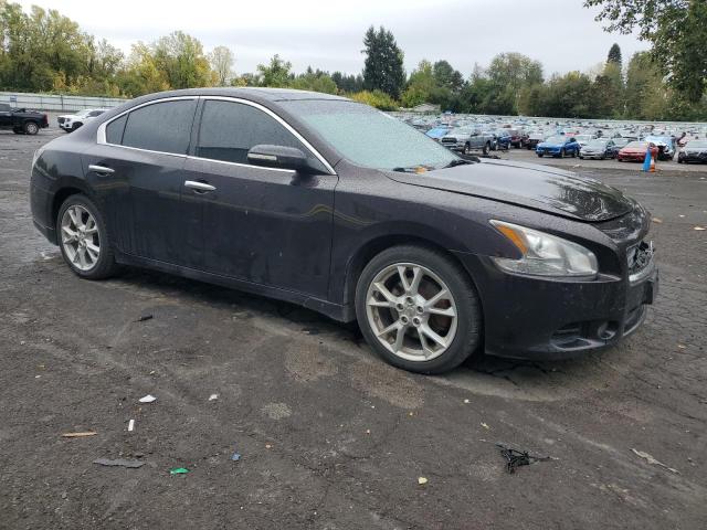  NISSAN MAXIMA 2012 Fioletowy