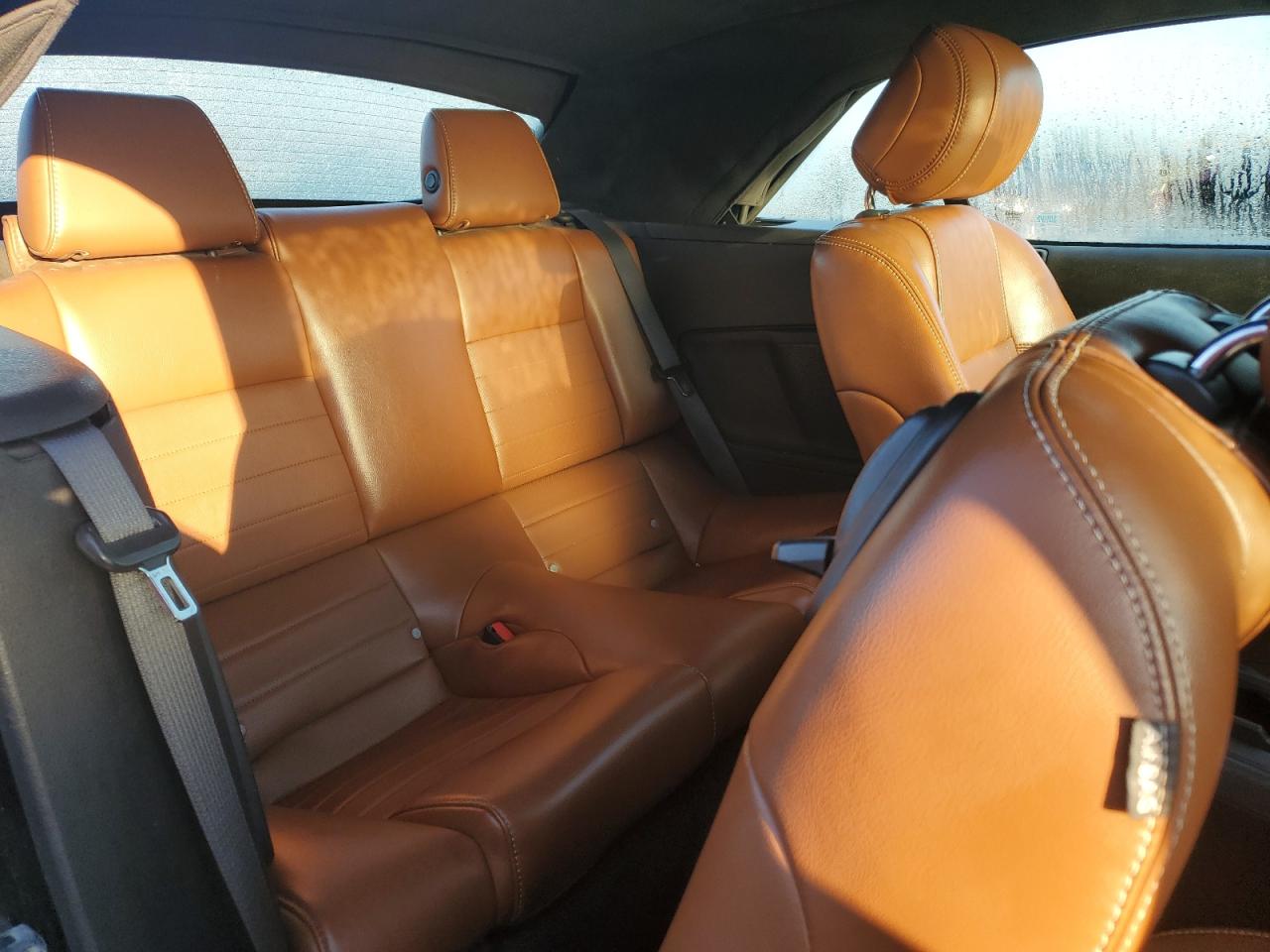 2013 Ford Mustang VIN: 1ZVBP8EM4D5215790 Lot: 73983234