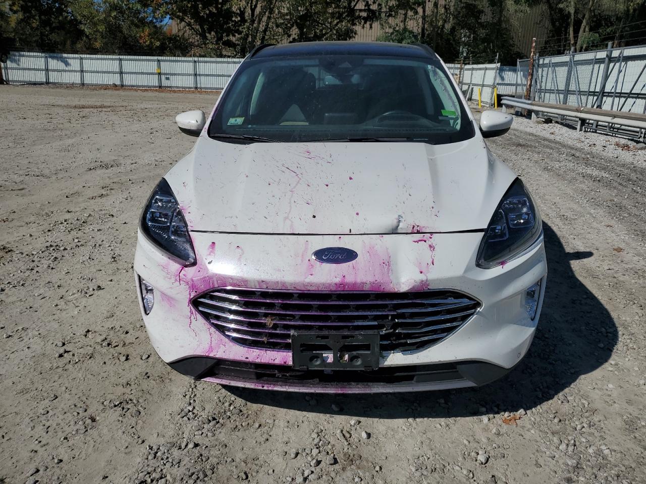 2021 Ford Escape - Image 5
