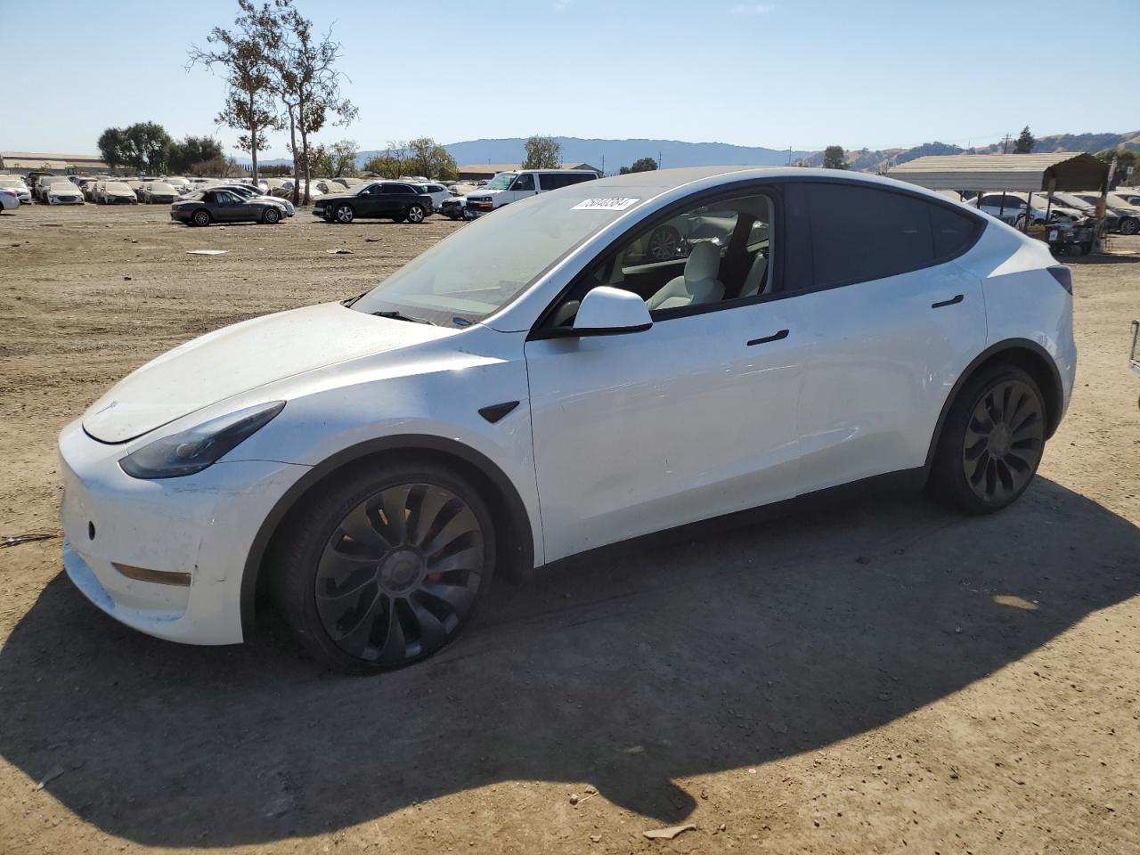 2023 Tesla Model Y VIN: 7SAYGDEF9PF830008 Lot: 75040384