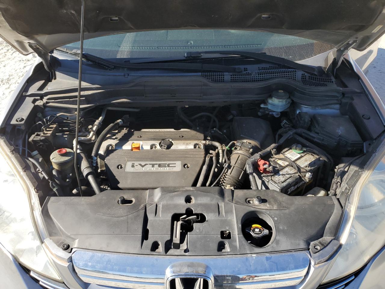 2007 Honda Cr-V Exl VIN: JHLRE387X7C037824 Lot: 77224604