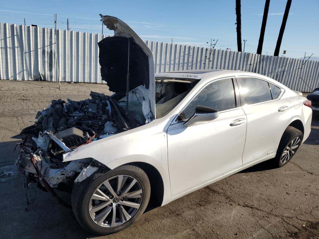 2021 Lexus ES - Image 1