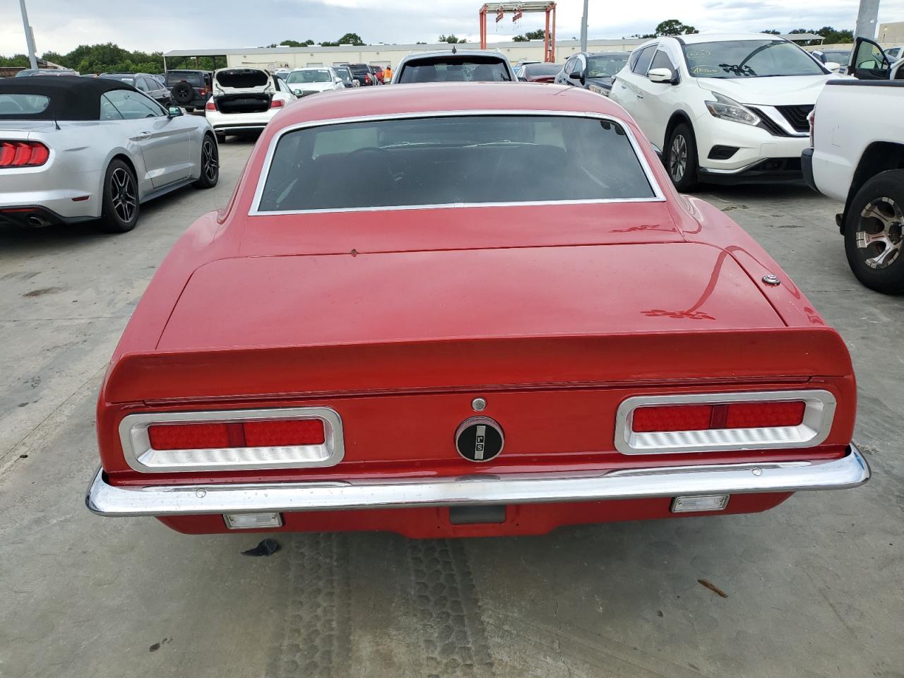 1967 Chevrolet Camaro VIN: 124377N156586 Lot: 74898624