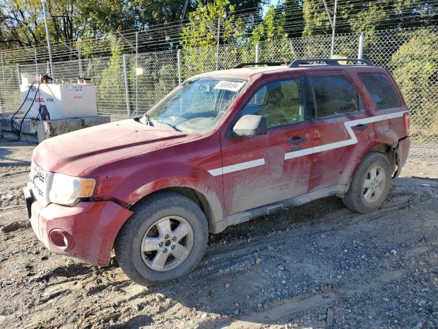 2009 Ford Escape Xlt