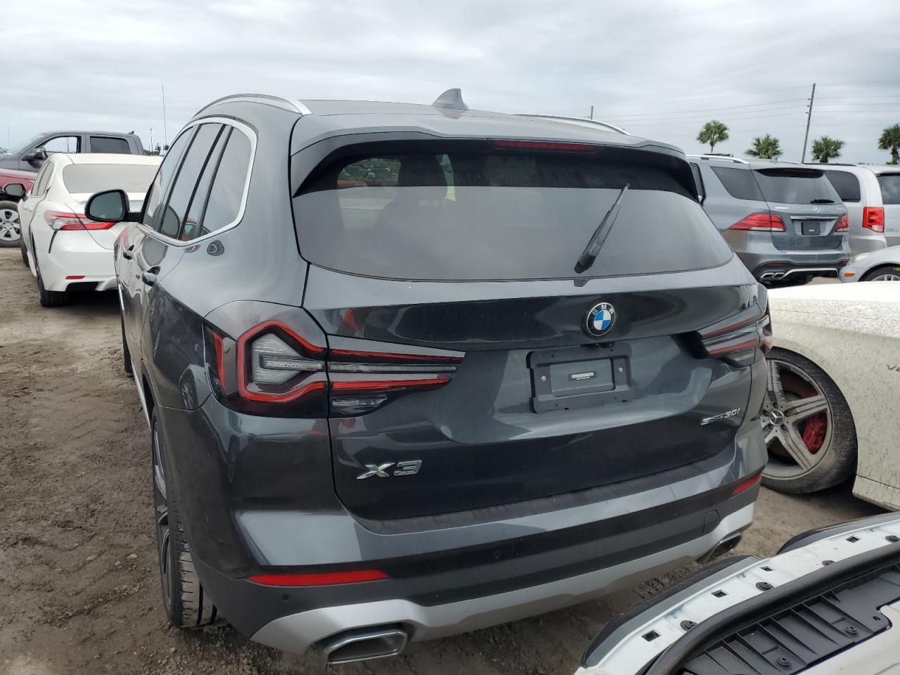 2022 BMW X3 Sdrive30I VIN: WBX47DP0XNN177789 Lot: 74711874