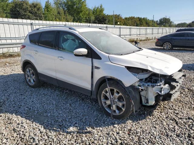  FORD ESCAPE 2014 White