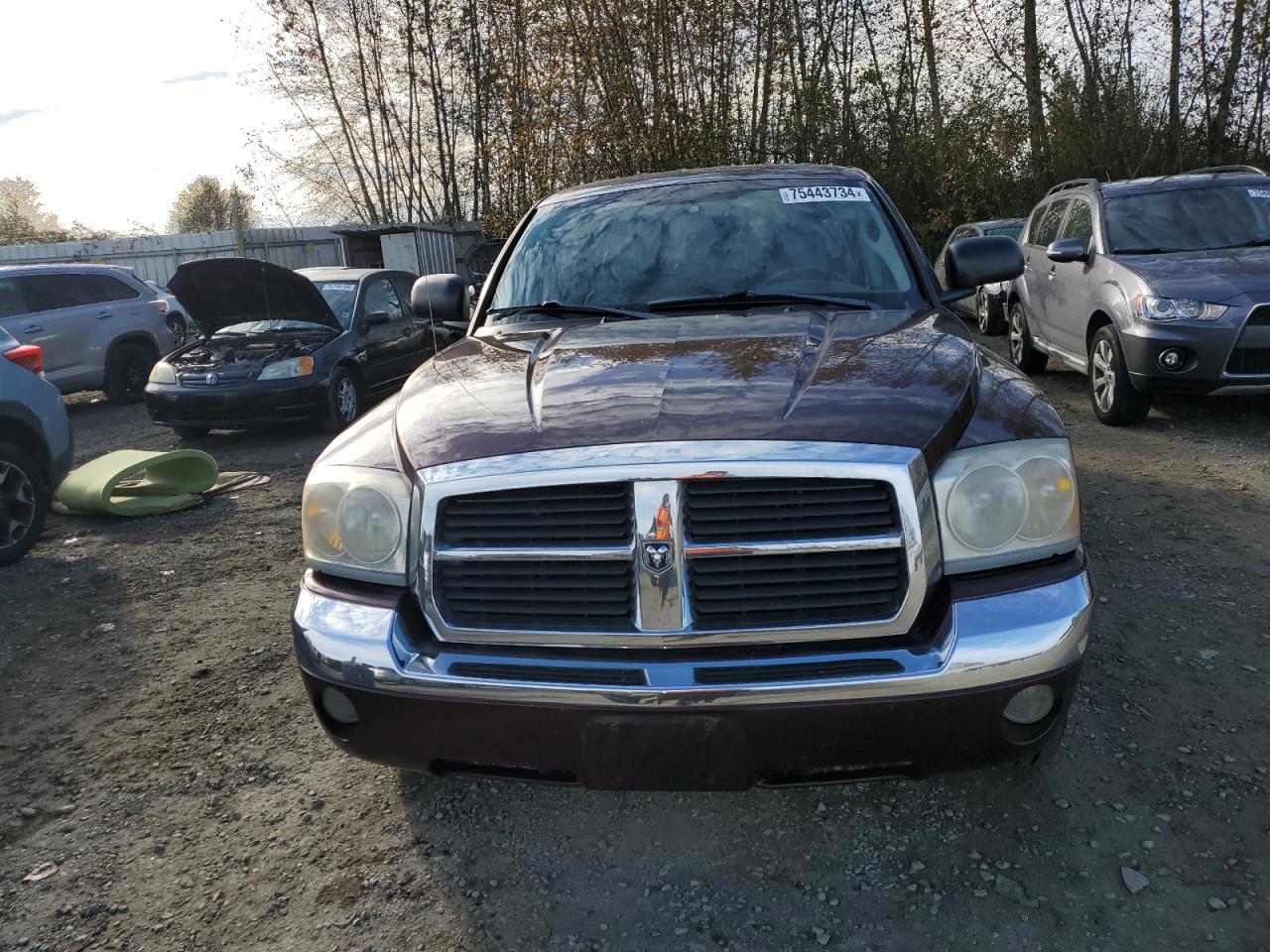 2005 Dodge Dakota Quad Laramie VIN: 1D7HW58NX5S248188 Lot: 75443734