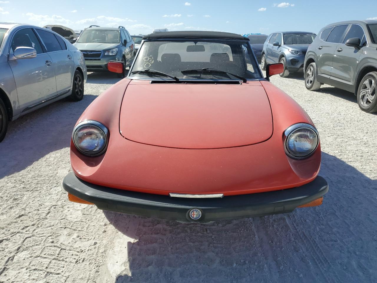 1982 Alfa Romeo Giulia - Image 5