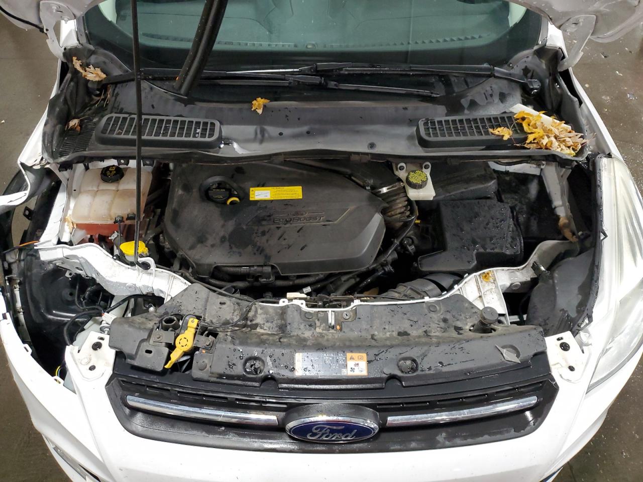 2015 Ford Escape - Image 13