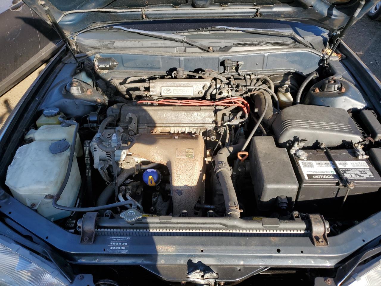 1992 Toyota Camry Le VIN: JT2SK12E6N0006628 Lot: 43110275