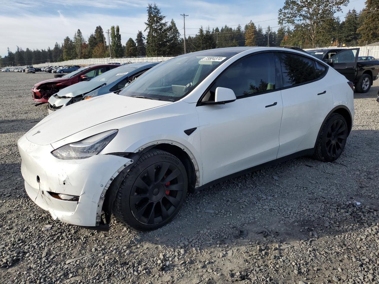 VIN 5YJYGDEE2MF213310 2021 TESLA MODEL Y no.1