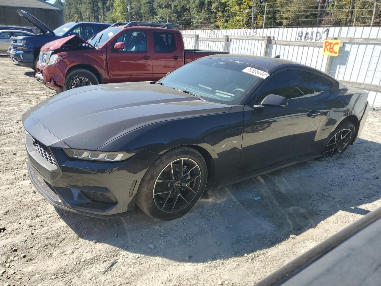 1FA6P8TH8R5125453 2024 FORD MUSTANG - Image 1