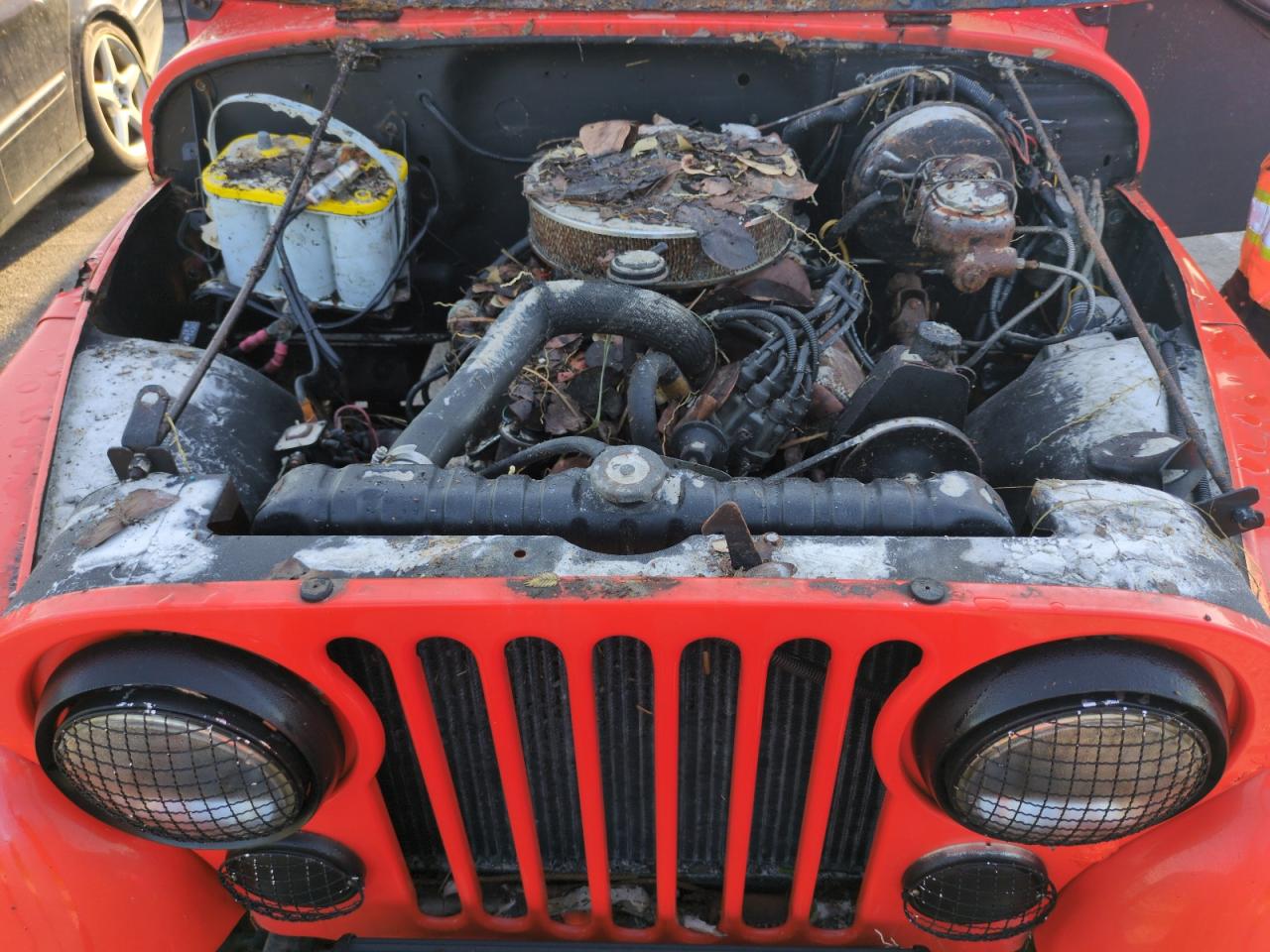 1983 Jeep Jeep Cj7 VIN: 1JCCN87AXDT069163 Lot: 75219074