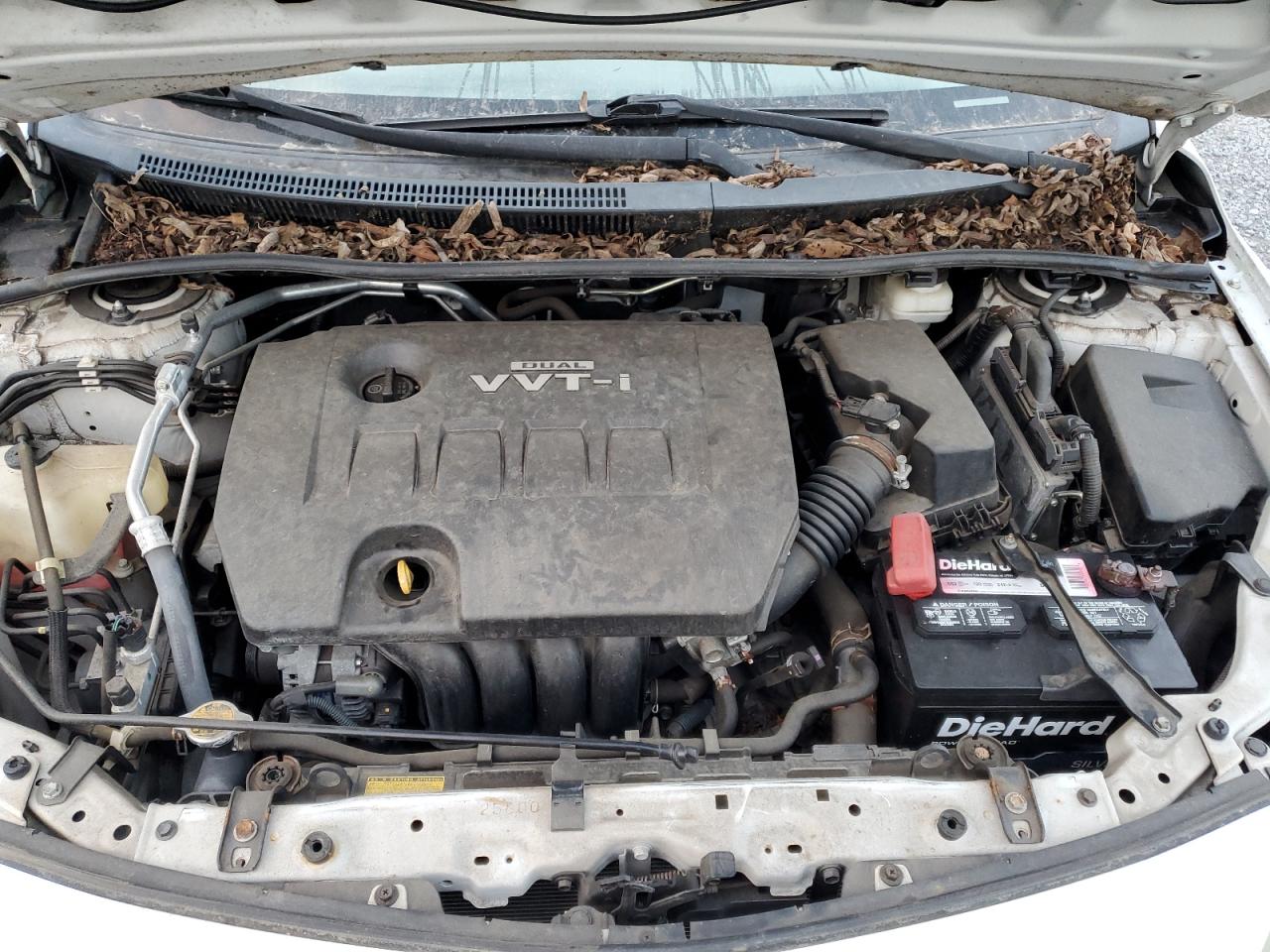 1NXBU4EE8AZ376489 2010 Toyota Corolla Base 1NXBU4EE8AZ376489 2010 Toyota Corolla Base
