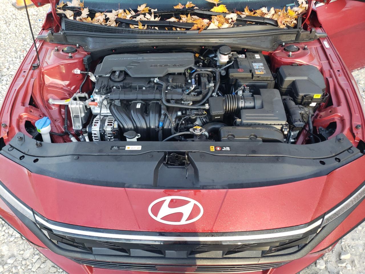 2024 Hyundai Elantra - Image 11