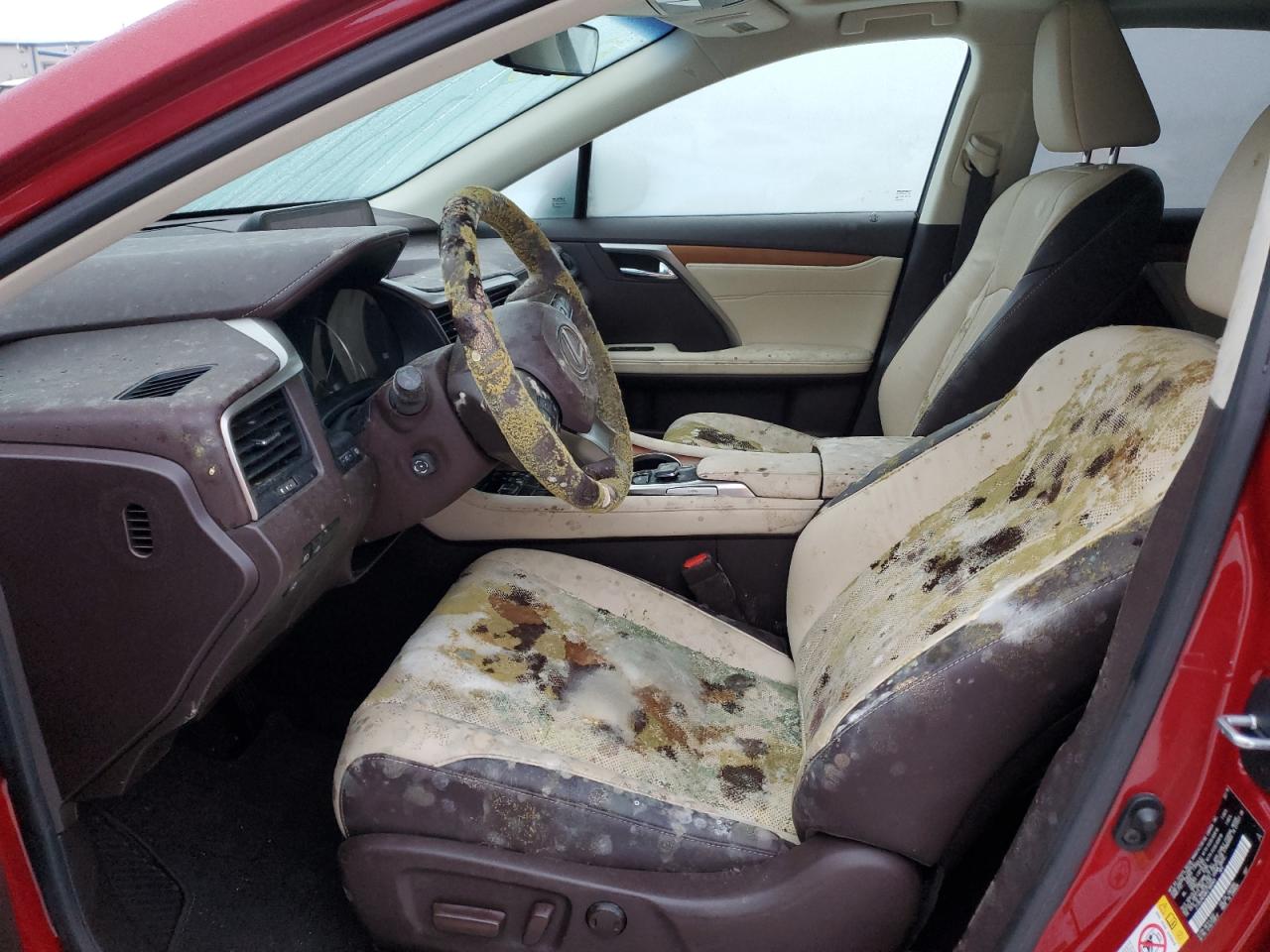 2019 Lexus RX - Image 7