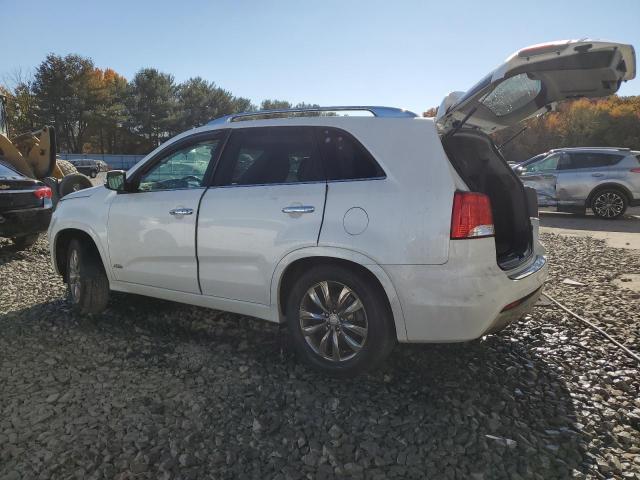  KIA SORENTO 2012 Білий