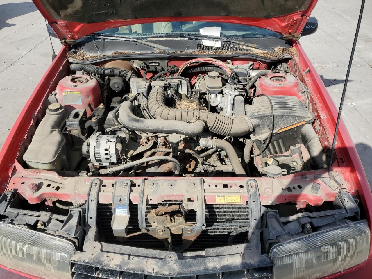 1G1LV1540RY168955 1994 Chevrolet Beretta