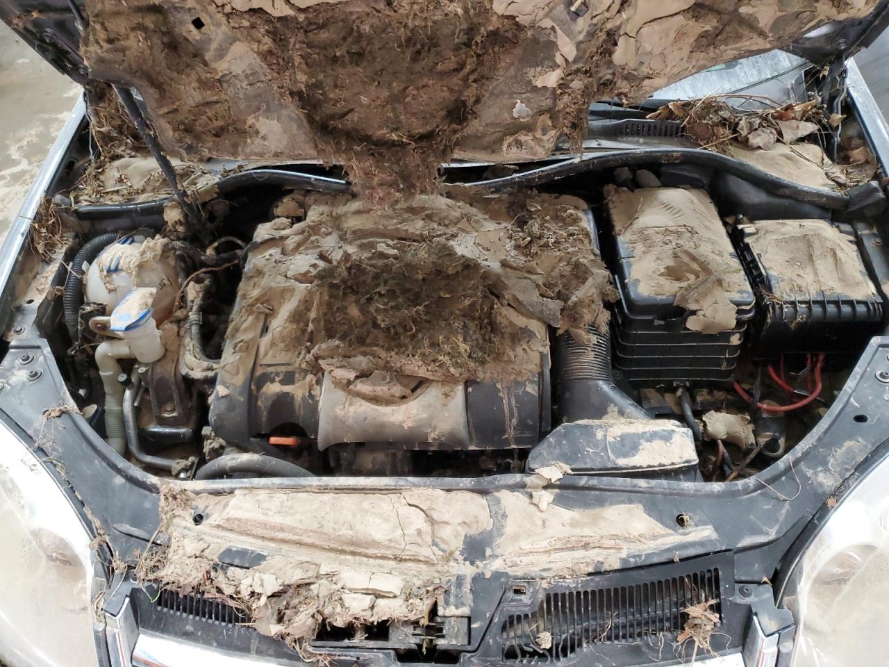 2008 Volkswagen Jetta Wolfsburg VIN: 3VWRJ71K08M146594 Lot: 74798194