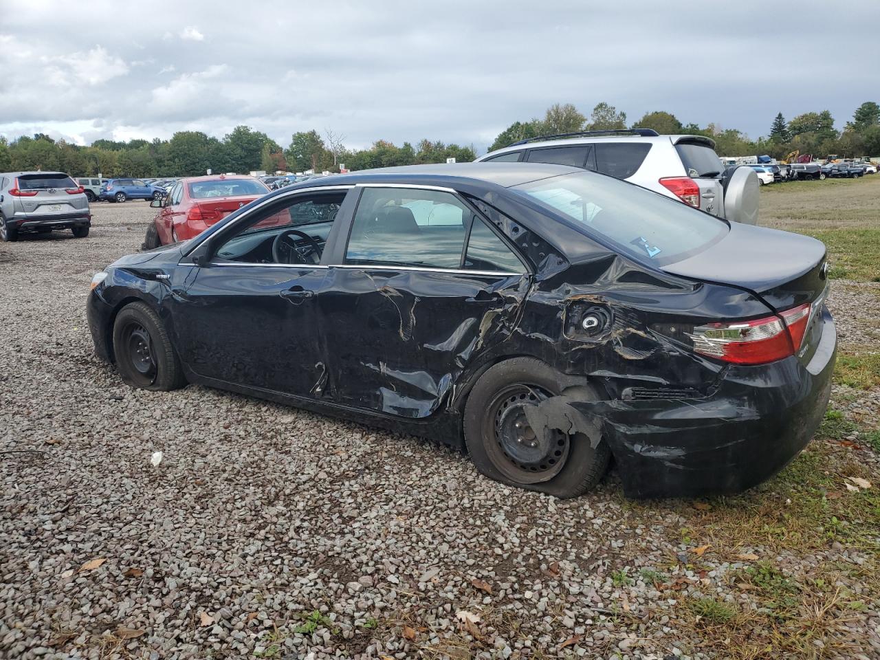 4T1BD1FK5GU193644 2016 TOYOTA CAMRY - Image 2