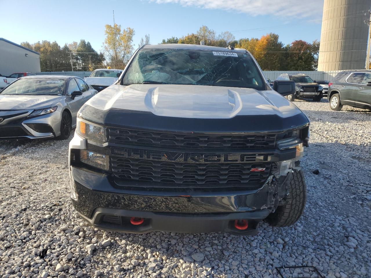 2021 Chevrolet Silverado K1500 Trail Boss Custom VIN: 3GCPYCEF0MG482492 Lot: 75189634