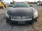 2012 Nissan Maxima S იყიდება Hillsborough-ში, NJ - Normal Wear