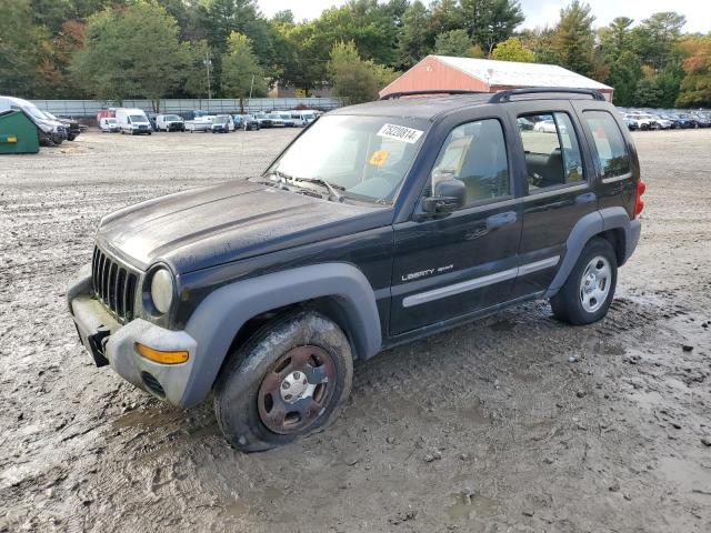 2003 Jeep Liberty Sport