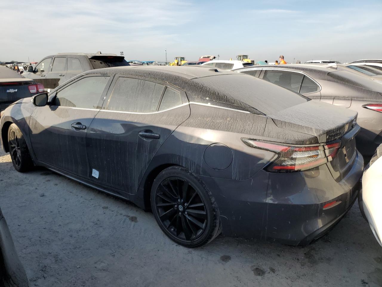 2021 Nissan Maxima Platinum VIN: 1N4AA6FV9MC503396 Lot: 75295444