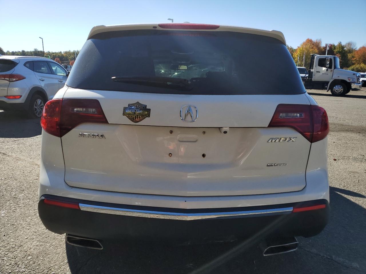 2010 Acura Mdx Technology VIN: 2HNYD2H69AH527411 Lot: 76467004