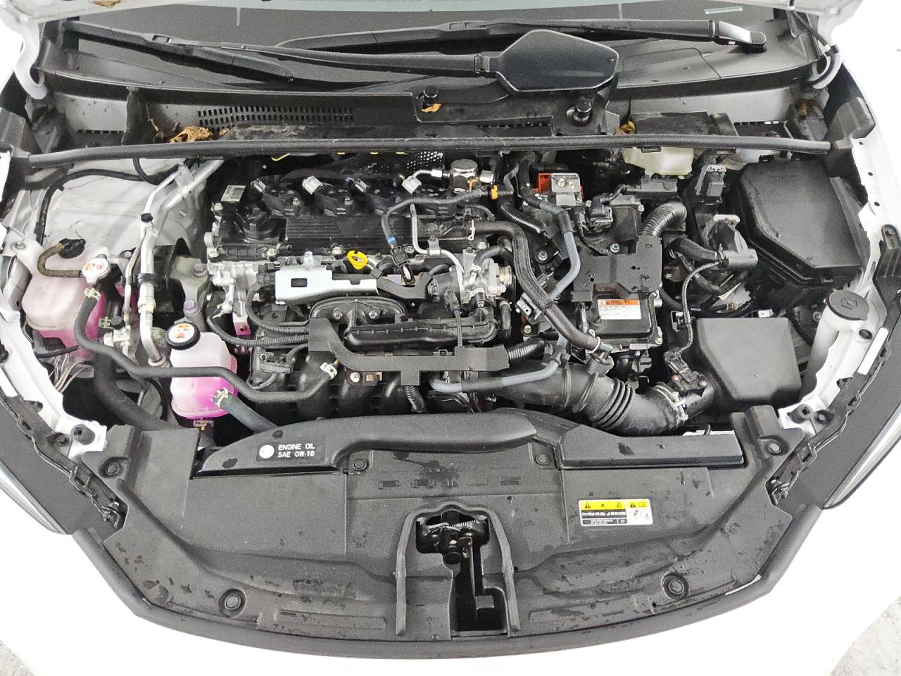 2023 Toyota Prius Le VIN: JTDACAAU1P3012640 Lot: 78957934