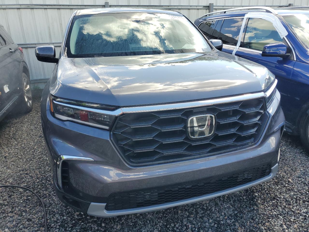 2025 Honda Pilot - Image 5