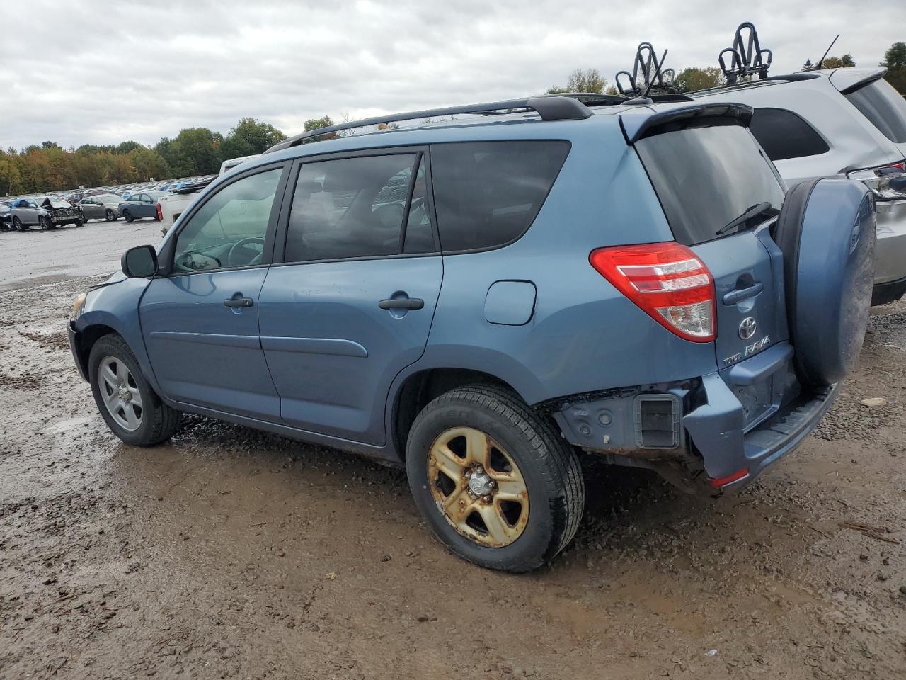 2010 Toyota Rav4 VIN: 2T3BF4DV7AW046510 Lot: 74875804