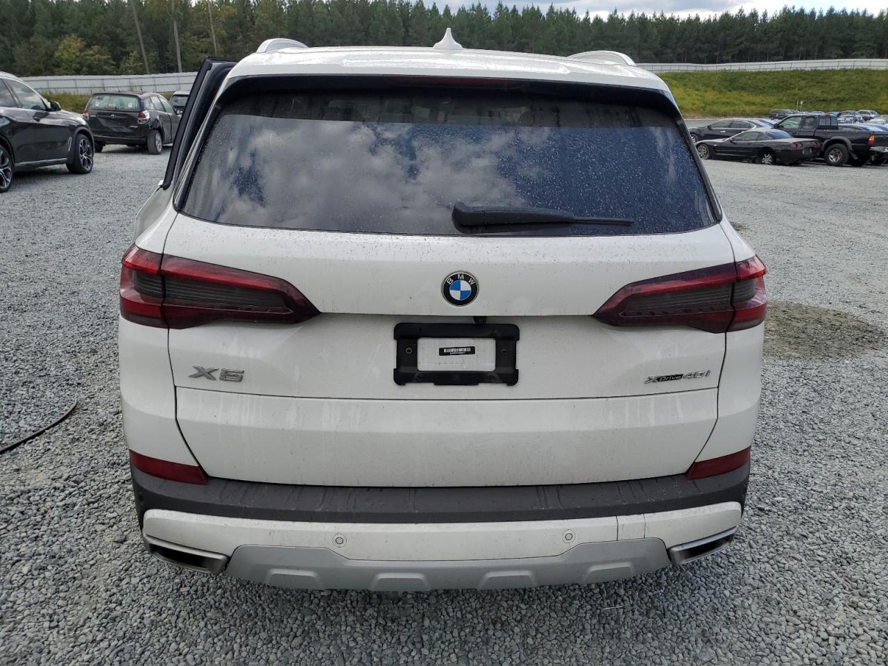 2023 BMW X5 xDrive40I VIN: 5UXCR6C03P9R50973 Lot: 76286144