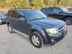 2009 Ford Escape Xlt للبيع في Marlboro، NY - Minor Dent/Scratches