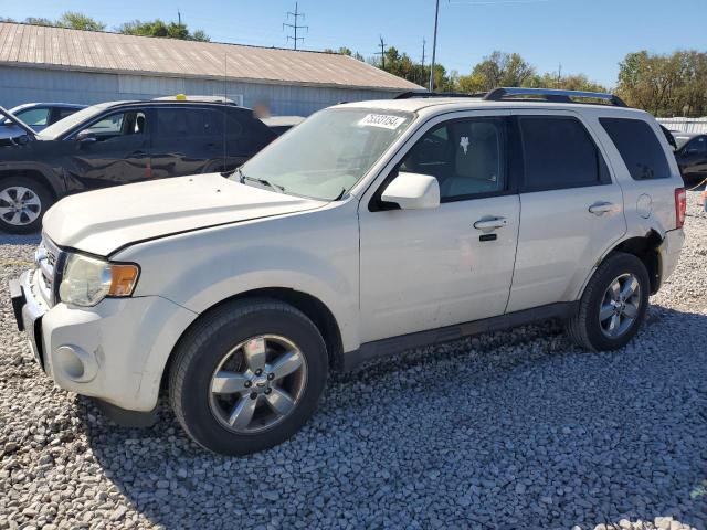 2011 Ford Escape Limited