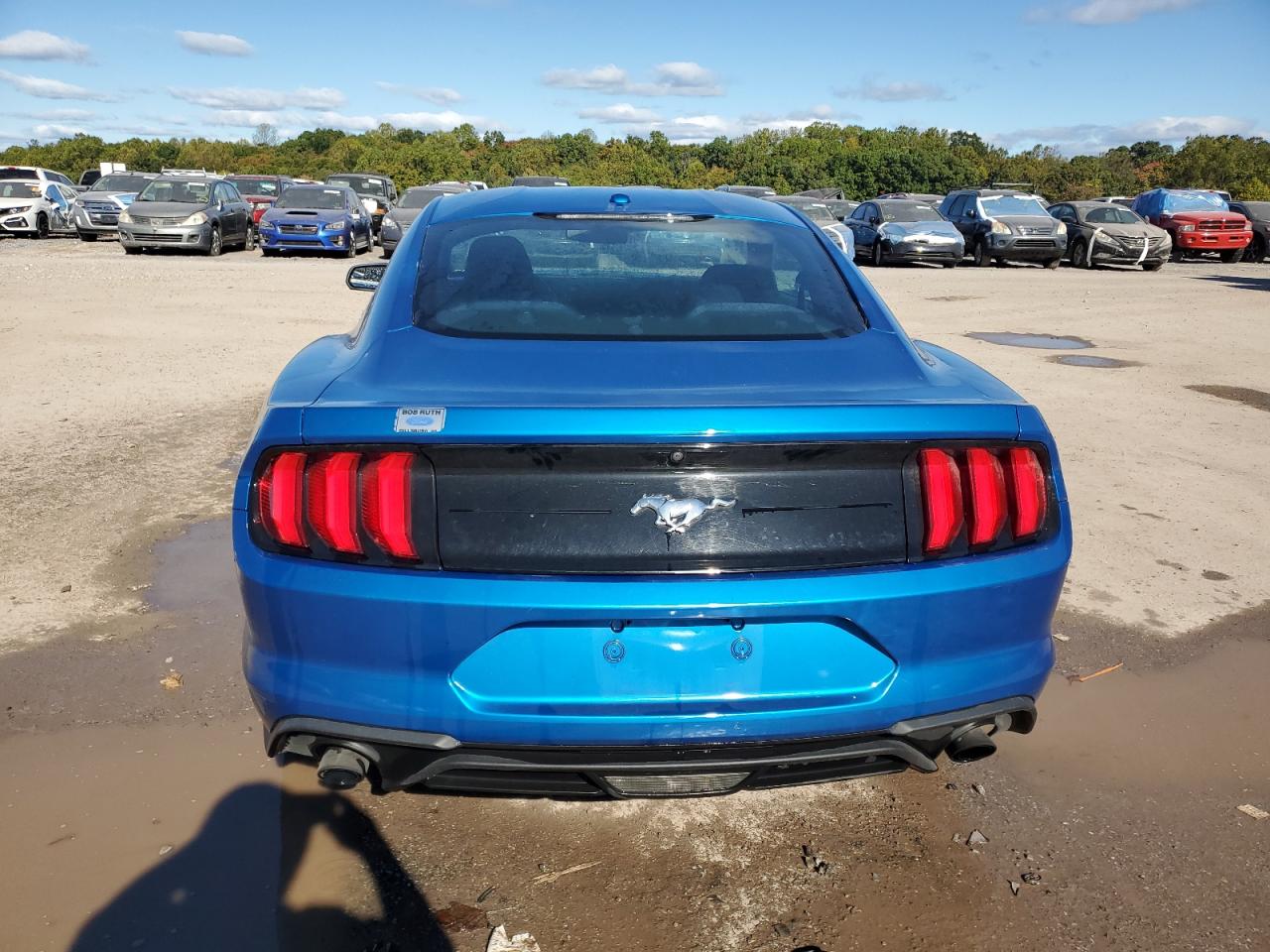 2019 Ford Mustang VIN: 1FA6P8THXK5182470 Lot: 74983794