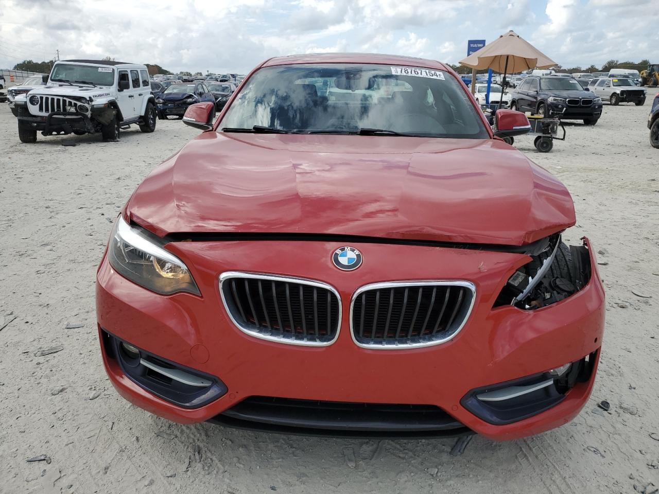 2016 BMW 228 I Sulev VIN: WBA1F9C58GV546666 Lot: 78767154