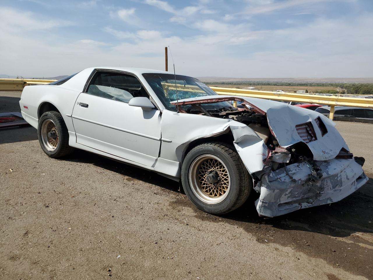 1989 Pontiac Firebird Trans Am VIN: 1G2FW2183KL218853 Lot: 41368745