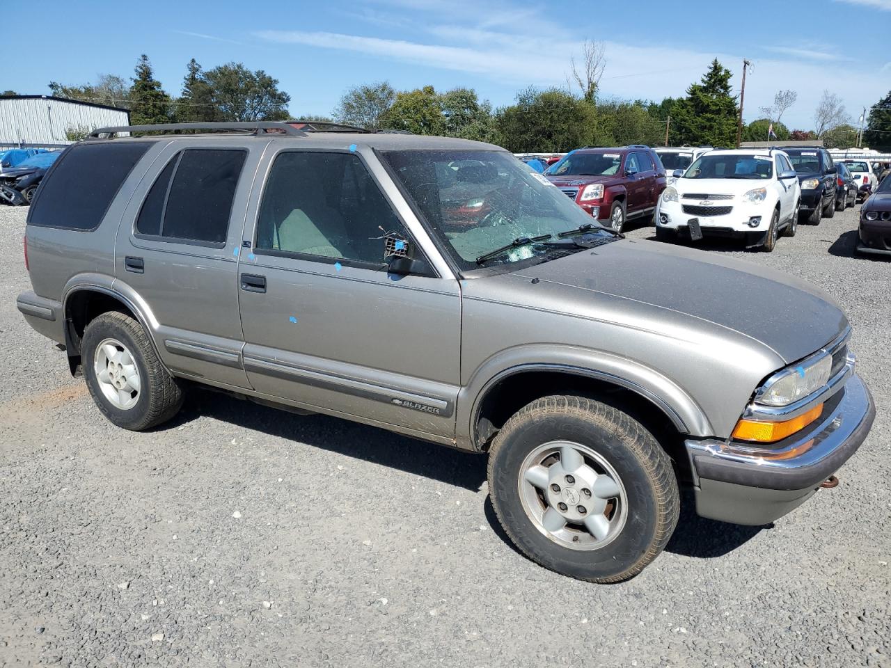 1999 Chevrolet Blazer VIN: 1GNDT13W9X2220743 Lot: 73434054