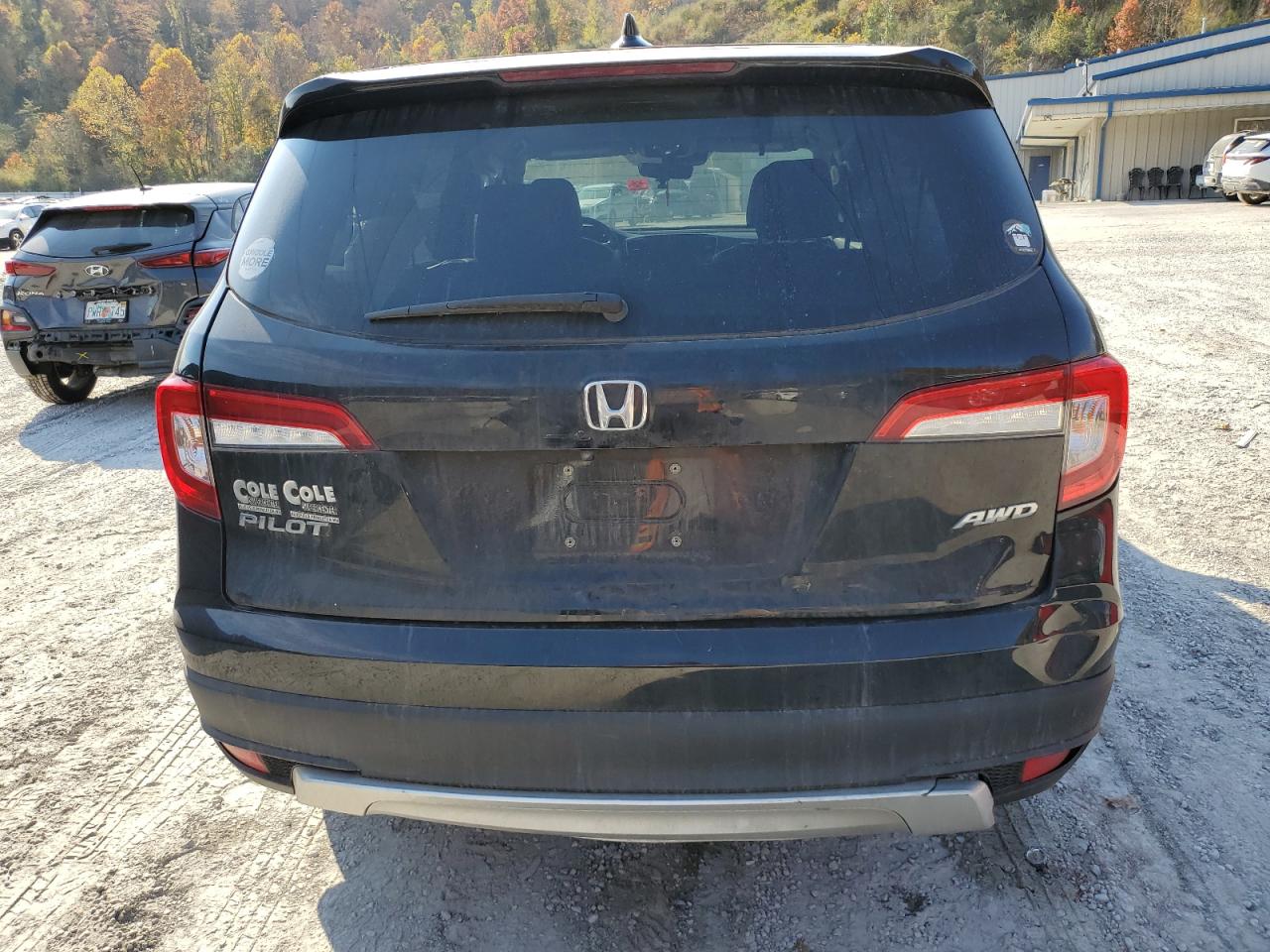 2020 Honda Pilot Exl VIN: 5FNYF6H53LB045699 Lot: 76933094