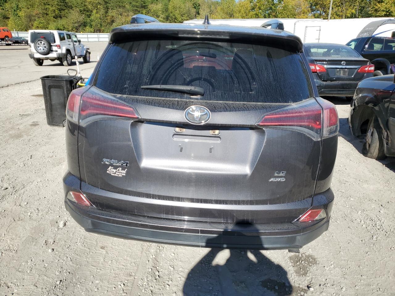 JTMBFREV6GJ061745 2016 Toyota Rav4 Le