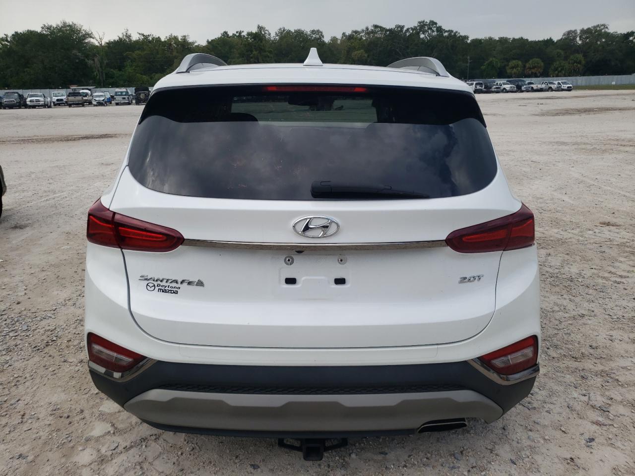 2020 Hyundai Santa Fe Limited VIN: 5NMS53AA0LH239118 Lot: 71769394