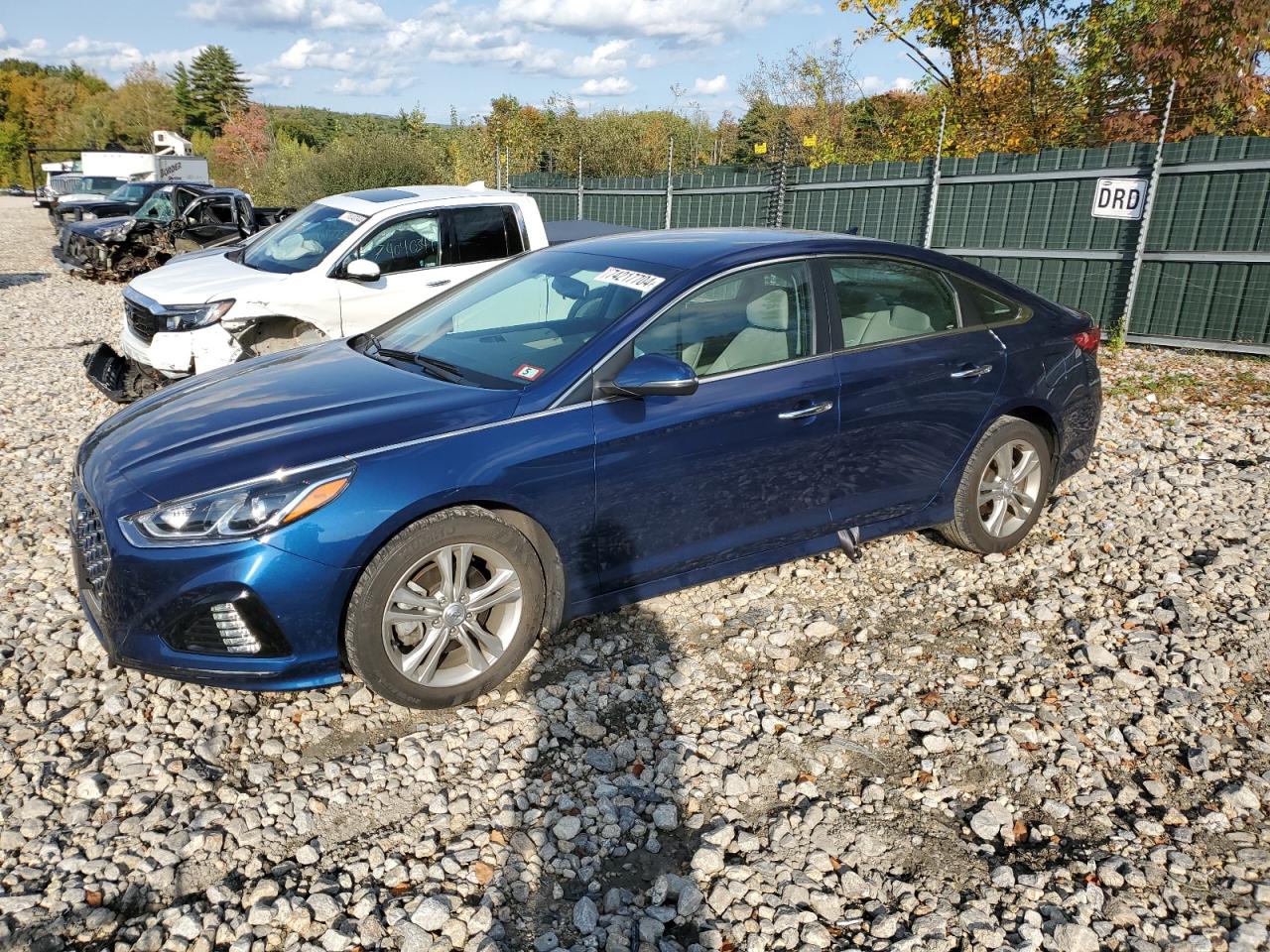 5NPE34AF3KH809599 2019 Hyundai Sonata Limited