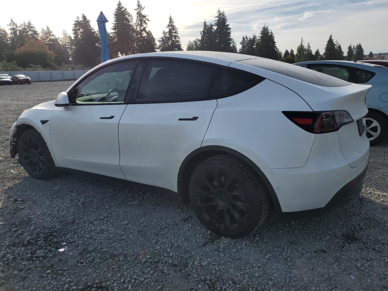 VIN 5YJYGDEE2MF213310 2021 TESLA MODEL Y no.2