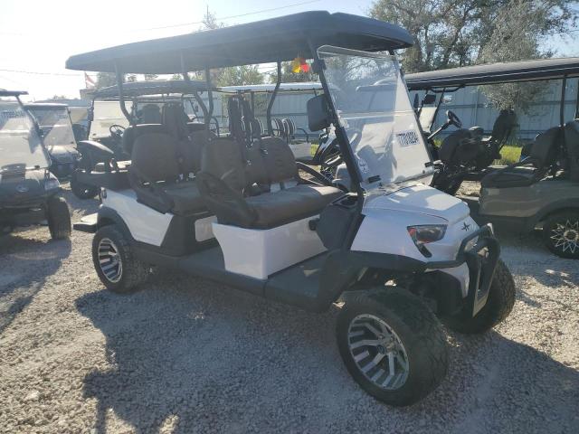 2024 Aspt Golf Cart