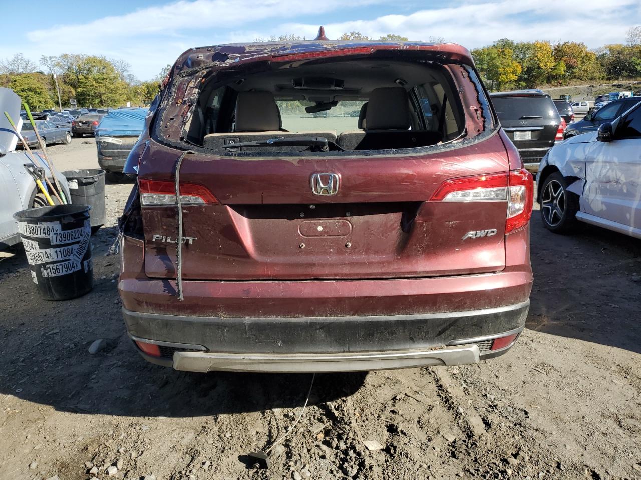 2020 Honda Pilot Exl VIN: 5FNYF6H44LB013884 Lot: 76490944