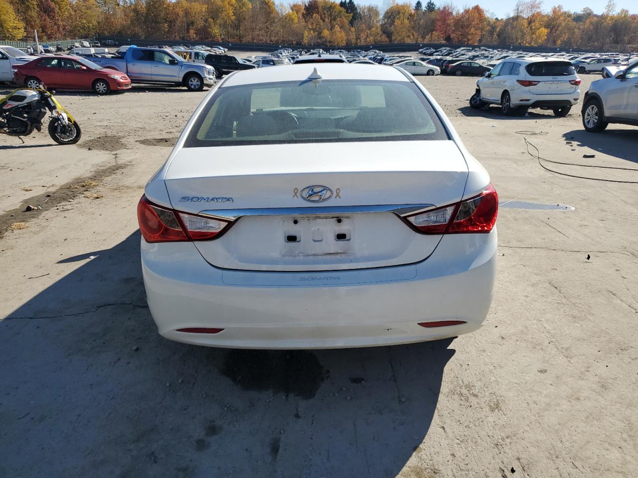 2013 Hyundai Sonata Gls VIN: 5NPEB4AC6DH734196 Lot: 77364504