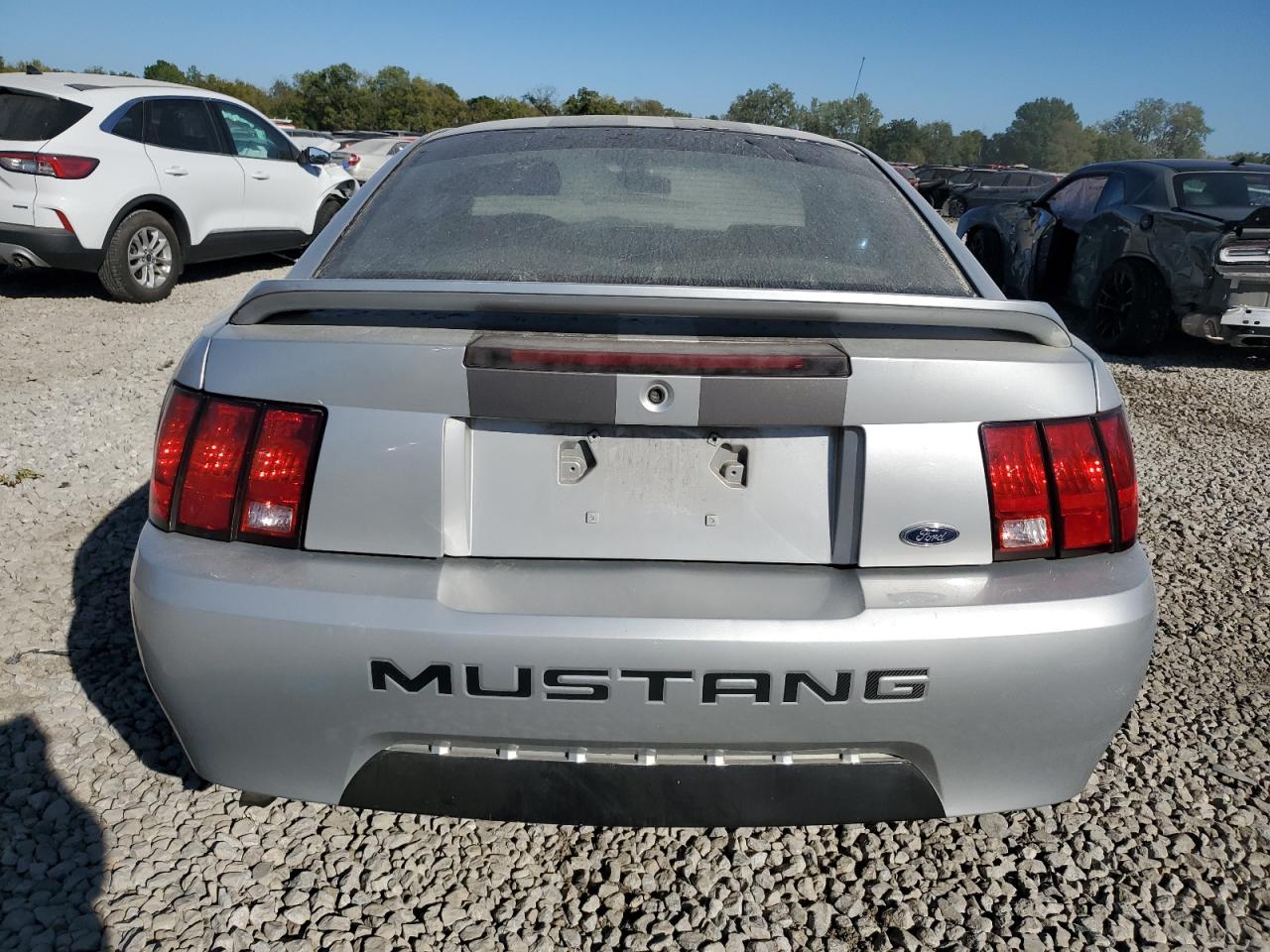 1999 Ford Mustang VIN: 1FAFP4043XF132389 Lot: 74883524